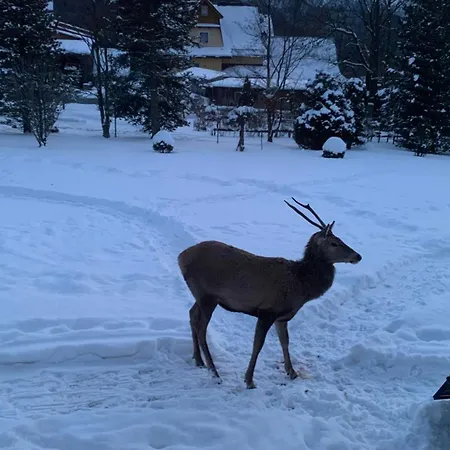 Appartamento Gawra *